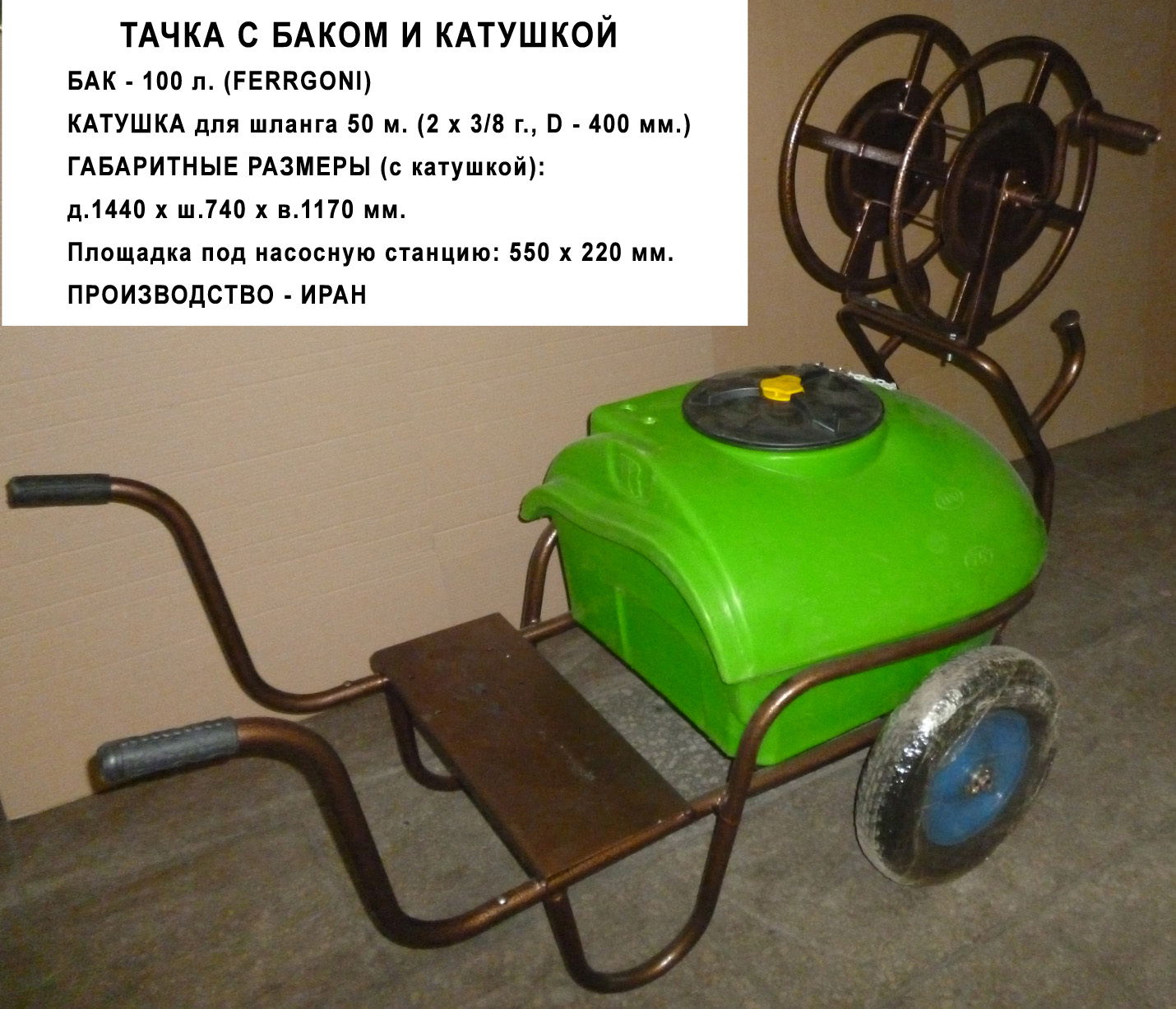 tachka-s-kat1